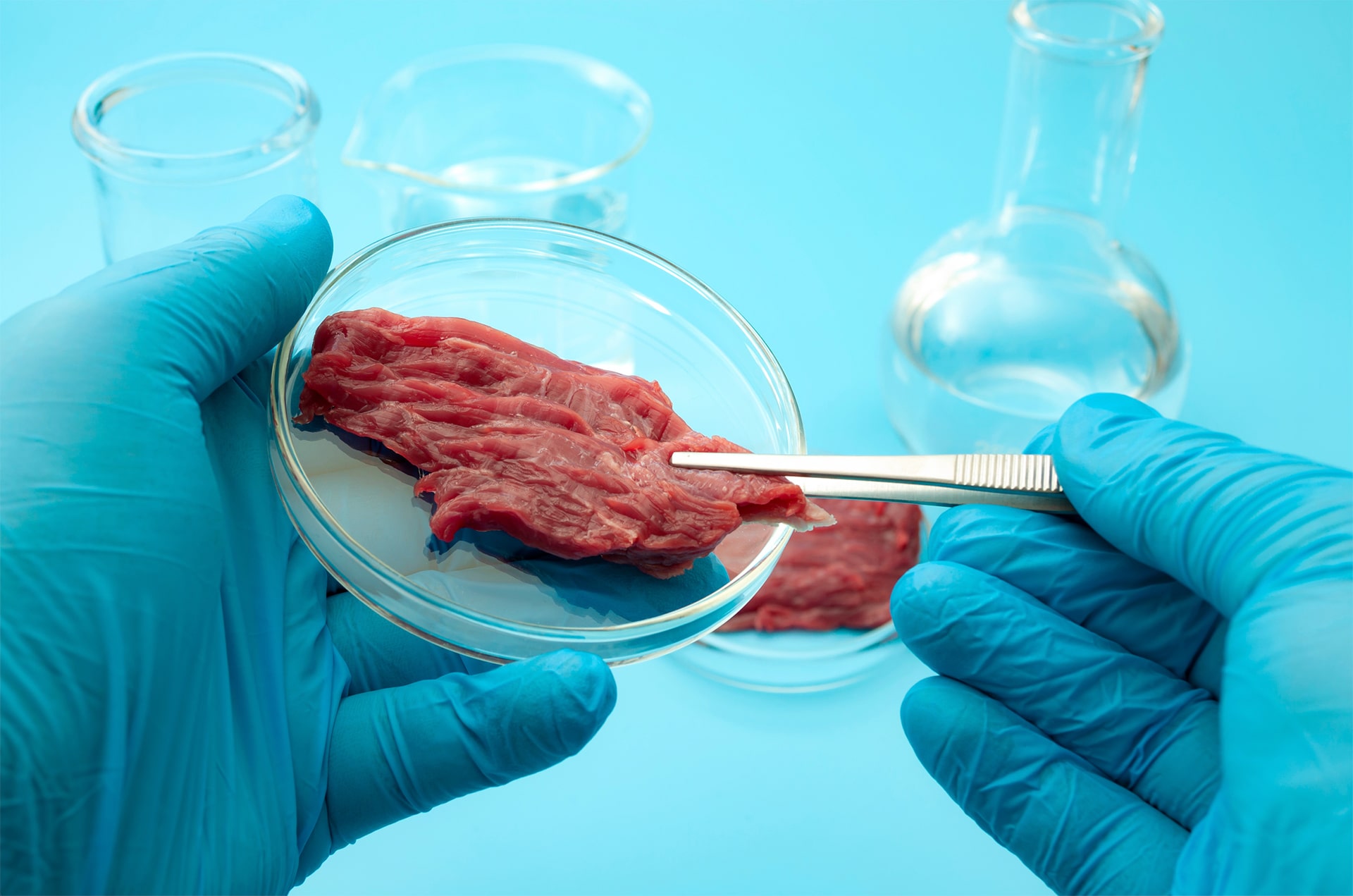 Carne Sintetica prodotta in laboratorio